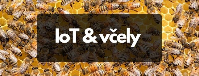 Jak chránit včelstva pomocí senzorů, dat a internetu