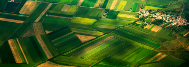 Agdata.cz pomáhají na ovocnářské farmě v podhůří Krkonoš