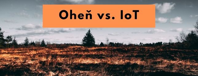 Jak zabránit lesním požárům díky technologiím a IoT