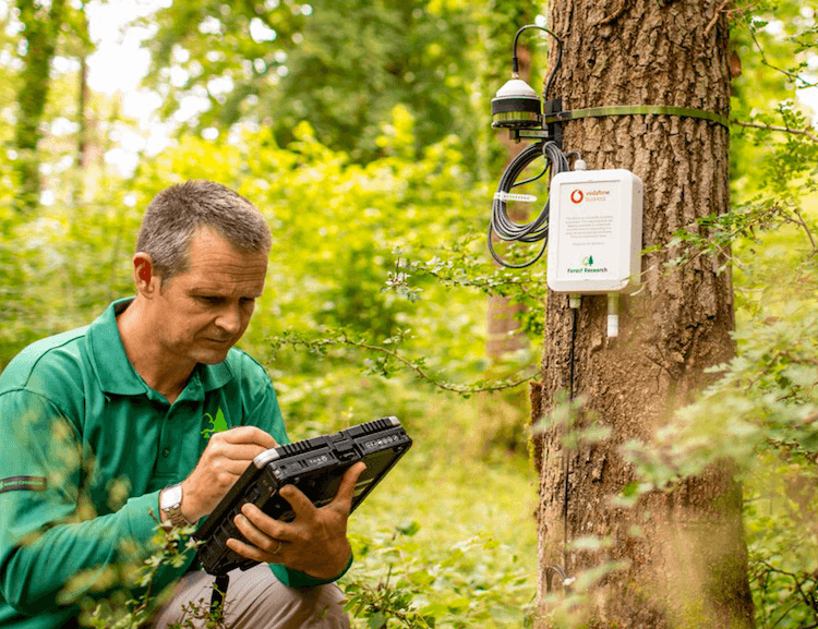 monitoring podmínek v lese pomocí IoT