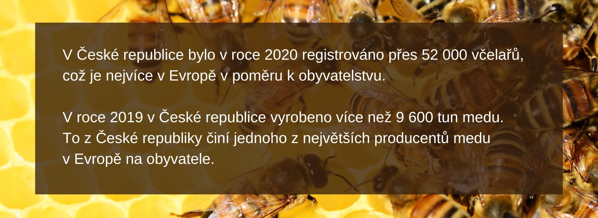 Statistiky: včelaři v české republice