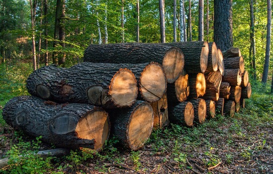 Ochrana pro volně ložené materiály a assety ve vzdálených lokacích